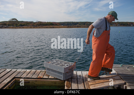 Lobsterman Eric Emmons sul dock di astice in Maine tenetevi pronti a comprare e vendere fresco pescato aragoste per il commercio. Foto Stock