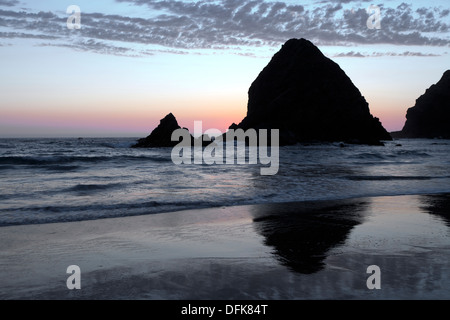 Roccia Whaleshead riflette nelle sabbie della spiaggia Whaleshead nel sud della Oregon a nord della città di Brookings. Foto Stock