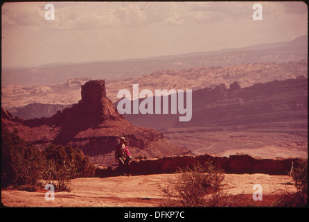 Questa fotografia cattura una vista mozzafiato del collo d'oca del fiume Colorado da Dead Horse Point. Il paesaggio presenta scogliere spettacolari e tortuosi sentieri fluviali, che mostrano la bellezza naturale e le caratteristiche geologiche della regione, spesso visitati da turisti e appassionati di natura. Foto Stock