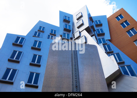 Il Centro Stata edita il MIT a Cambridge, ma Foto Stock