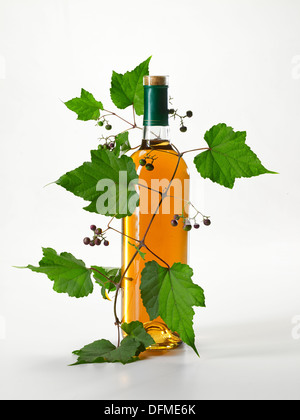 Bottiglia di vino con il vitigno Foto Stock
