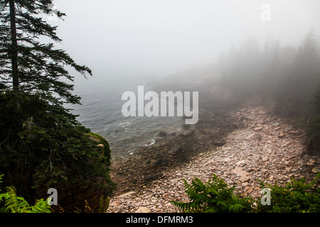 Giorno nebbiosi in Acadia NP, Maine Foto Stock