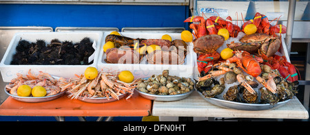 Frutti di mare Foto Stock
