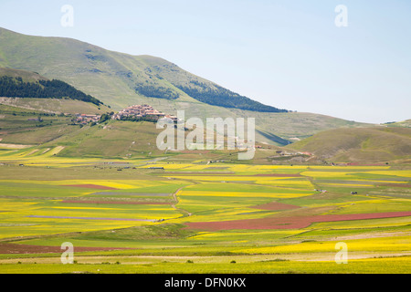 Paesaggio, Castelluccio di Norcia in Umbria, Italia, Europa Foto Stock