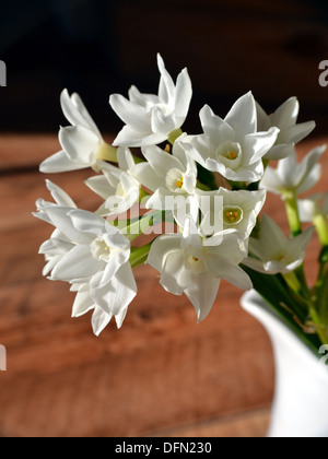 Close up of paperwhite narcissus in a white jug Foto Stock