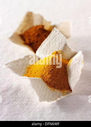 La massa di peperoncino in polvere spice e di curcuma in polvere Foto Stock