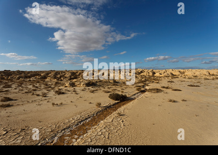 Il deserto Bardenas Reales, Riserva della Biosfera dall'UNESCO, Provincia di Navarra, Spagna settentrionale, Spagna, Europa Foto Stock