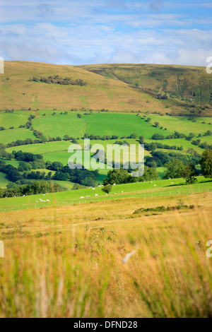 Senni Valley vicino a Sennybridge Brecon Beacons Powys Galles Foto Stock