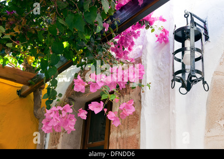 Bourgainvillea fiori in una Villa tradizionale Lindos Rodi isole Greche - Grecia Foto Stock