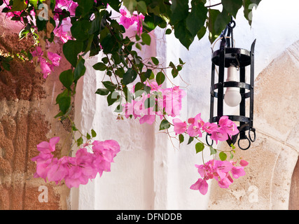 Bourgainvillea fiori in una Villa tradizionale Lindos Rodi isole Greche - Grecia Foto Stock