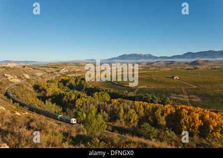 Linea ferroviaria lungo il corso del fiume Ebro, Rio Ebro, vigneti, vicino a Haro, autunno, La Rioja, Spagna settentrionale, Spagna, Europa Foto Stock