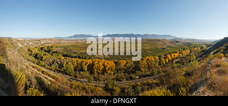 Linea ferroviaria lungo il corso del fiume Ebro, Rio Ebro, vigneti, vicino a Haro, autunno, La Rioja, Spagna settentrionale, Spagna, Europa Foto Stock