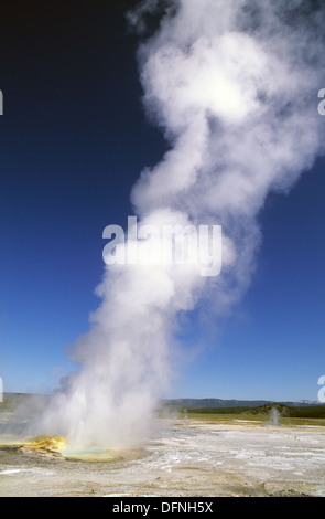 Elk265-1619v Wyoming, il Parco Nazionale di Yellowstone, Fontana vaso di vernice, Clessidra Geyser Foto Stock