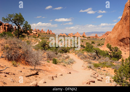 Sentiero per Landscape Arch, Arches National Park, Moab, Utah, Southwest USA, America Foto Stock