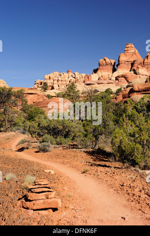 Sentiero verso guglie di roccia in Chesler Park, aghi Area, il Parco Nazionale di Canyonlands, Moab, Utah, Southwest USA, America Foto Stock