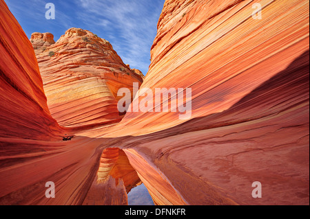 Pietra arenaria rossa riflettendo in acqua, l'Onda, Coyote Buttes, Paria Canyon, Vermiglio scogliere monumento nazionale, Arizona, a sud-ovest Foto Stock