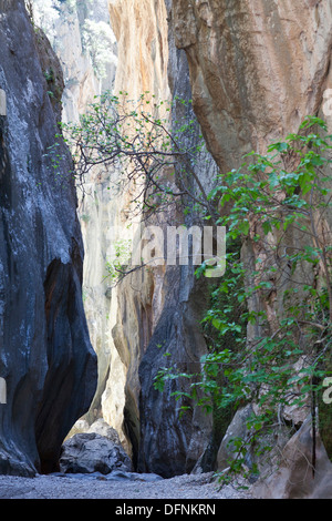 Escursionismo, canyon Torrent de Pareis, Cala de Sa Calobra, Serra de Tramuntana, UNESCO Weltnaturerbe, Mallorca, Spagna Foto Stock