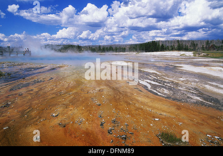 Elk265-1489 Wyoming, il Parco Nazionale di Yellowstone, nero bacino di sabbia, piscina arcobaleno Foto Stock