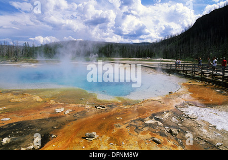 Elk265-1491 Wyoming, il Parco Nazionale di Yellowstone, nero bacino di sabbia, piscina arcobaleno Foto Stock