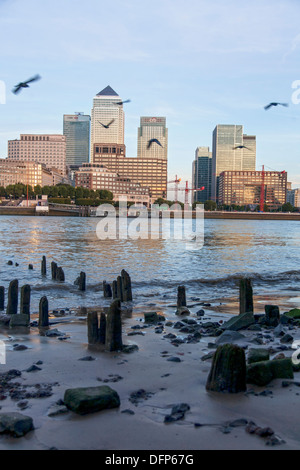 Vista del paesaggio di canary wharf in condizioni di luce diurna dalla sponda opposta del fiume Tamigi con uccelli tettuccio Foto Stock