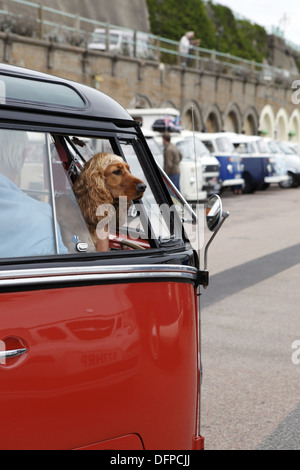 L'annuale "Brighton Breeze' VW camper van rally per appassionati avviene dal gancio Road Arena, nr Epsom a Brighton, Inghilterra Foto Stock