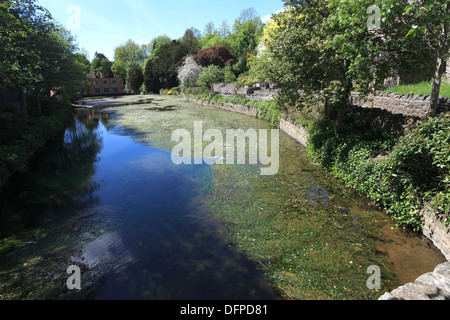 Fiume Yeo sotto le scogliere calcaree di Cheddar Gorge, Mendip Hills, Contea di Somerset, Inghilterra, Regno Unito Foto Stock