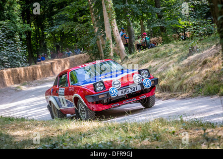 1978 Triumph TR7 V8 (TR8) con driver Steve Rockingham al 2013 Goodwood Festival of Speed, Sussex, Regno Unito. Foto Stock