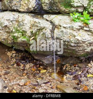 Silver Spring - punto di riferimento nella shapsugskaya zona anomala nelle montagne del Caucaso Foto Stock