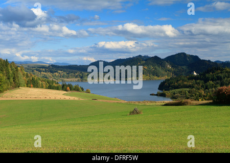 Pieniny mountains con il castello di Niedzica oltre Czorsztynskie lake e prato verde nella parte anteriore. Polonia meridionale. Foto Stock