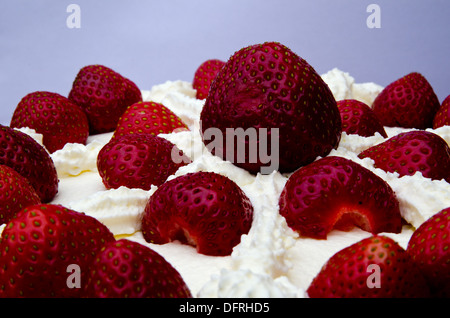 Close up di torta di fragole Foto Stock