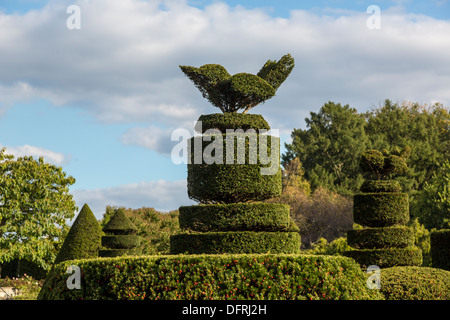 Topiaria da Bird, Longwood Gardens, Kennett Square, Pennsylvania, STATI UNITI D'AMERICA Foto Stock