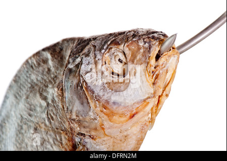 Testa di pesce salato con un gancio nella sua bocca su sfondo bianco Foto Stock