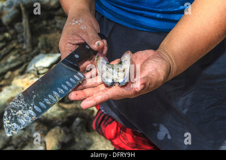 Cutting a fresh raw clam open with a knife before eating it. Foto Stock