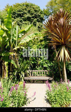 Sedile, Ventnor Giardini Botanici, Ventnor, Isle of Wight, Inghilterra, Regno Unito. Foto Stock