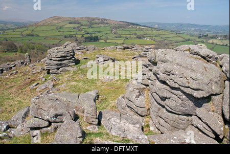 Su Hayne giù, Dartmoor, guardando verso nord-ovest verso Easdon verso il basso. Foto Stock