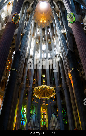 Il soffitto della Sagrada Familia o Basílica i Temple Expiatori de la Sagrada Família, Basilica e chiesa espiatorio del Foto Stock