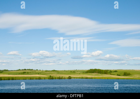 Molla. Il bel legno sulla riva del fiume Foto Stock