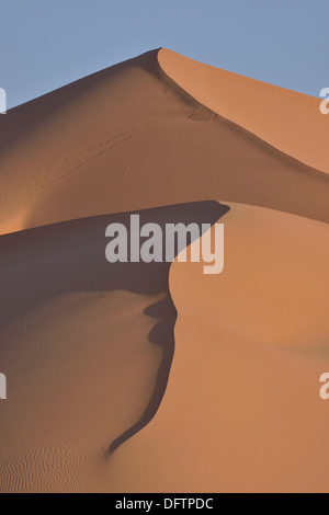 Dune nella luce del mattino, grande mare di sabbia, Sahara, regione Meknès-Tafilalet, Marocco Foto Stock