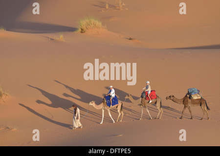 I turisti a cavallo di cammelli nel dune, grande mare di sabbia, Sahara, Merzouga, regione Meknès-Tafilalet, Marocco Foto Stock