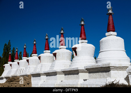 Otto stupa in una fila, Thikse Gompa o Monastero Thikse, nei pressi di Leh, Ladakh, Jammu e Kashmir India Foto Stock