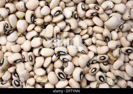 Black Eyed Peas bianco aka Cowpea Vigna unguiculata per la vendita nel mercato Kejetia, Kumasi, Ghana Foto Stock