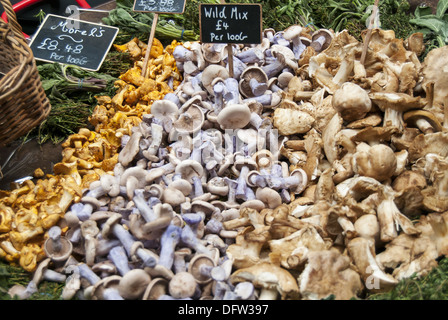 Varietà di Funghi Selvatici sul display a Borough Market alimentare, Southwark, Londra London Bridge, England, Regno Unito Foto Stock