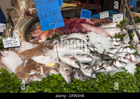 Frutti di mare sul display nel mercato di Borough, Southwark, Londra London Bridge, England, Regno Unito Foto Stock
