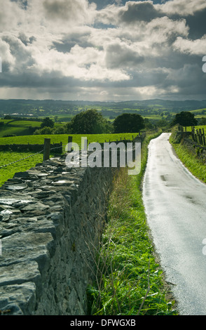 Guardando attraverso alcuni dolci colline con uno stretto vicolo del paese in primo piano, dopo una tempesta di pioggia. Foto Stock