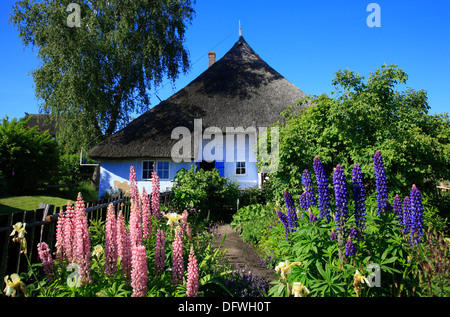 Pfarrwitwenhaus al lordo, Zicker Ruegen isola, Mar Baltico, Meclemburgo-Pomerania, Germania Foto Stock