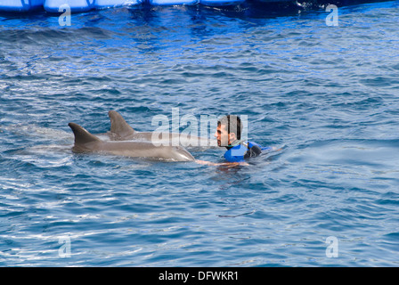 I Delfini al L'Oceanografic presso la Città delle Arti e delle Scienze di Valencia, Spagna Foto Stock