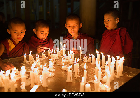 Principiante , i monaci nel Monastero Namgyal,nel complesso Tsuglagkhang. McLeod Ganj Dharamsala, Himachal Pradesh, India, Asia Foto Stock