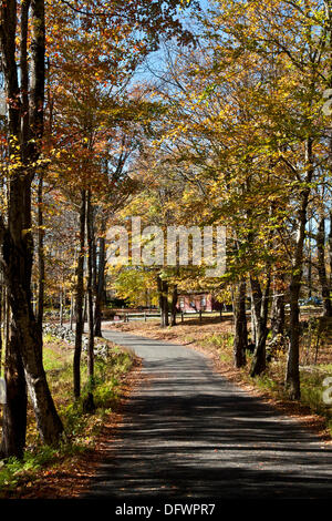 Fitzwilliam, new Hampshire, autunno; caduta; corsa; scenario; foglie; sud, sud-ovest. Un albero ombreggiato vicolo del paese passa attraverso una foresta di colore durante la caduta delle foglie stagione da settembre a ottobre ogni anno. Foto Stock