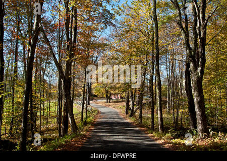 Fitzwilliam, new Hampshire, autunno; caduta; corsa; scenario; foglie; sud, sud-ovest. Un albero ombreggiato vicolo del paese passa attraverso una foresta di colore durante la caduta delle foglie stagione da settembre a ottobre ogni anno. Foto Stock