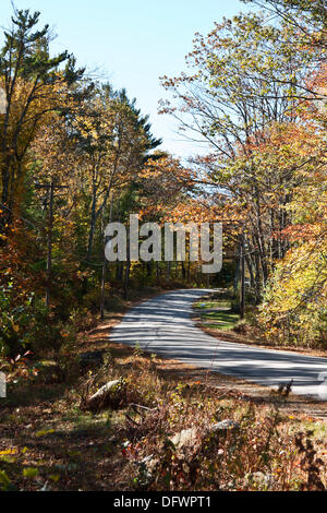 Fitzwilliam, new Hampshire, autunno; caduta; corsa; scenario; foglie; sud, sud-ovest. Un albero ombreggiato vicolo del paese passa attraverso una foresta di colore durante la caduta delle foglie stagione da settembre a ottobre ogni anno. Foto Stock